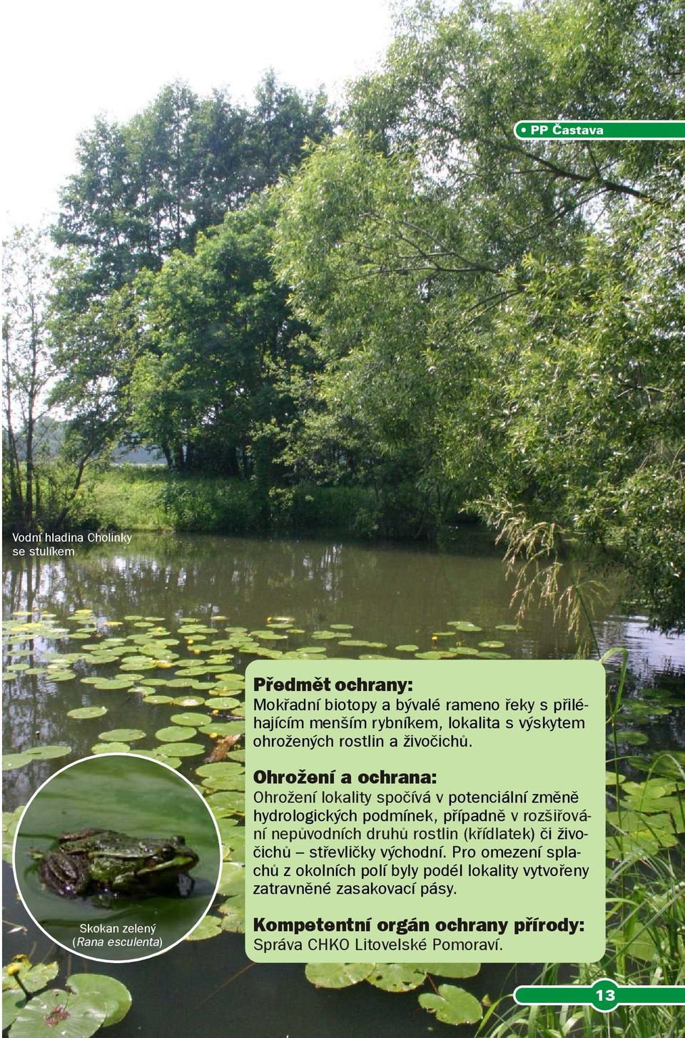 změně hydrologických podmínek, případně v rozšiřování nepůvodních druhů rostlin (křídlatek) či živočichů střevličky východní Pro omezení