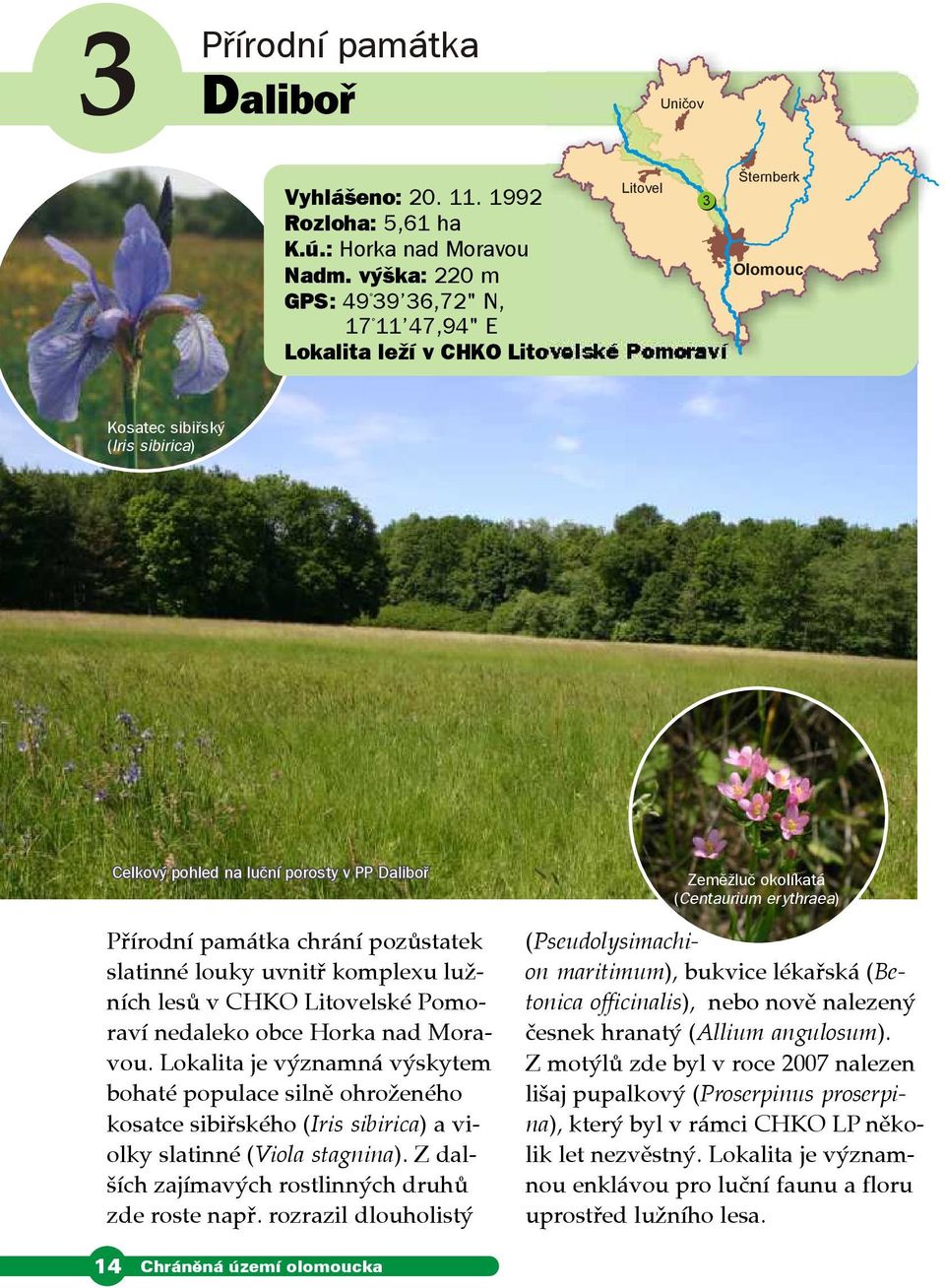 Pomoraví nedaleko obce Horka nad Moravou Lokalita je významná výskytem bohaté populace silně ohroženého kosatce sibiřského (Iris sibirica) a violky slatinné (Viola stagnina) Z dalších zajímavých