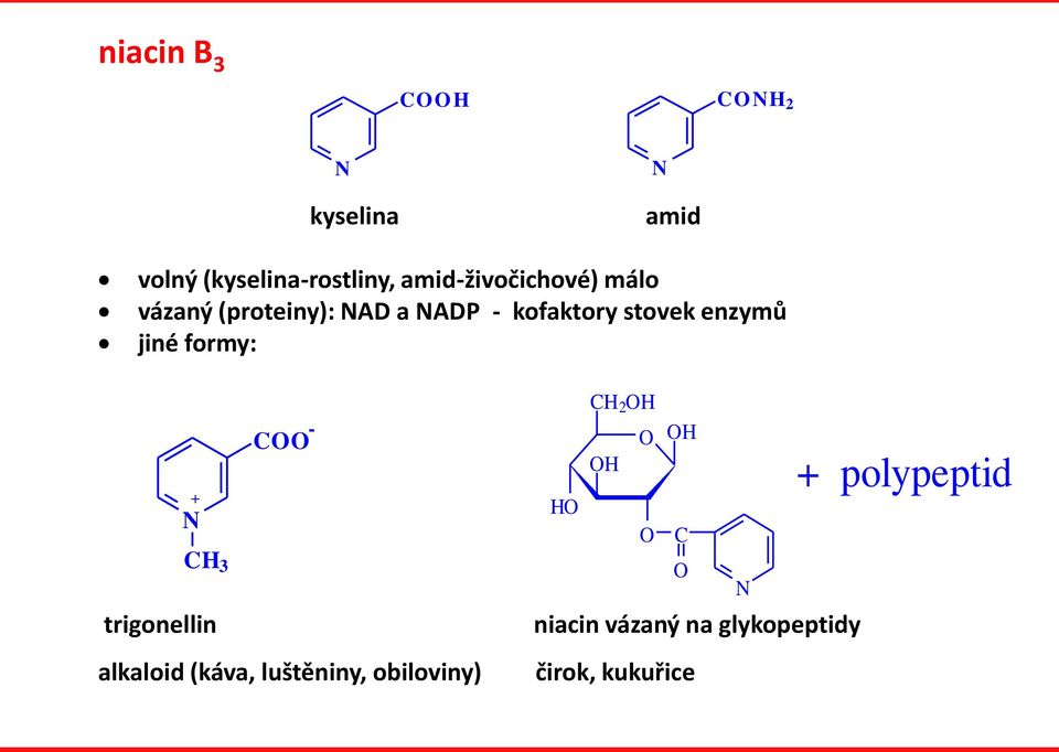 stovek enzymů jiné formy: + - C trigonellin alkaloid (káva,