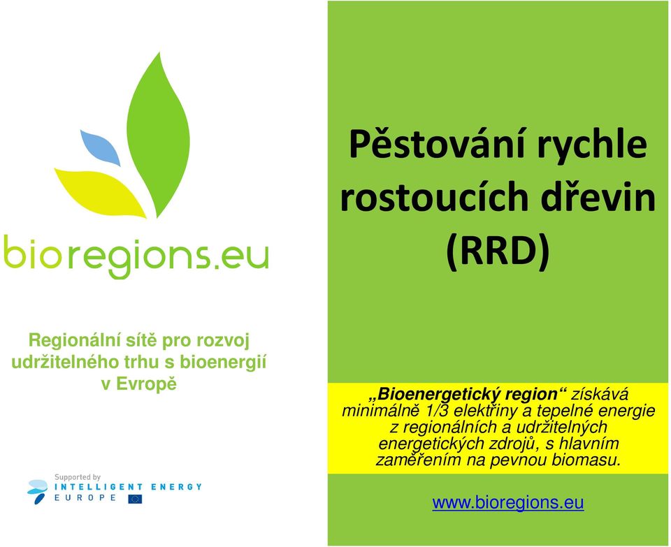 in Europe Bioenergetický region získává minimálně 1/3 elektřiny a tepelné energie z