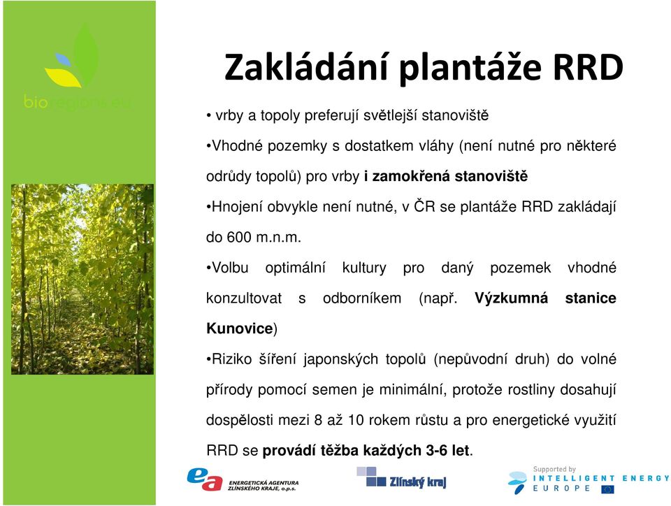 Výzkumná stanice Kunovice) Riziko šíření japonských topolů (nepůvodní druh) do volné přírody pomocí semen je minimální, protože rostliny