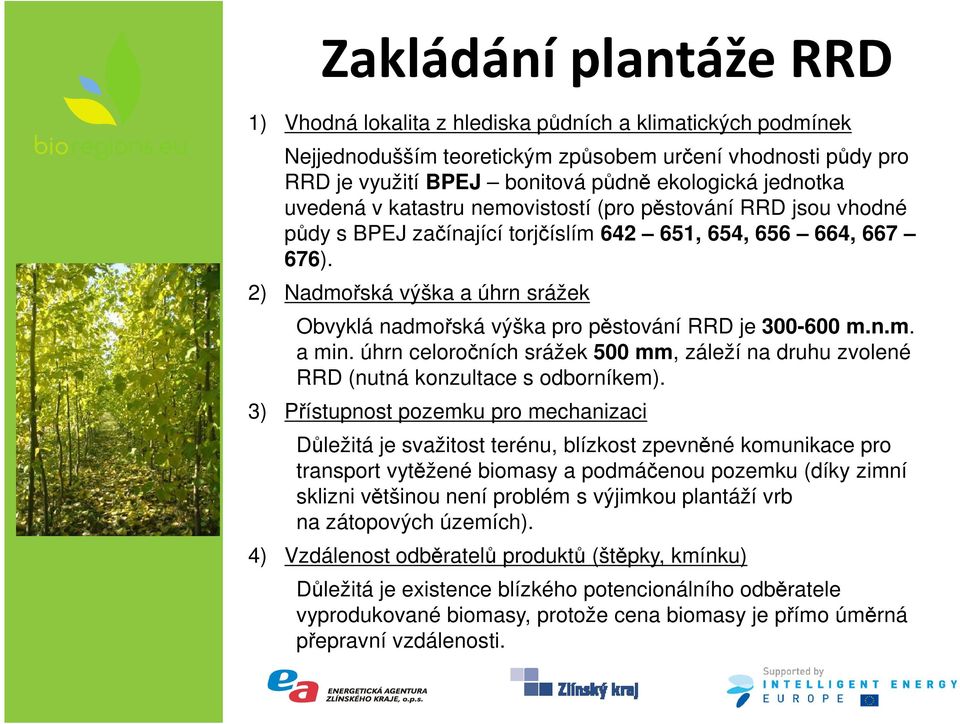 2) Nadmořská výška a úhrn srážek Obvyklá nadmořská výška pro pěstování RRD je 300-600 m.n.m. a min. úhrn celoročních srážek 500 mm, záleží na druhu zvolené RRD (nutná konzultace s odborníkem).