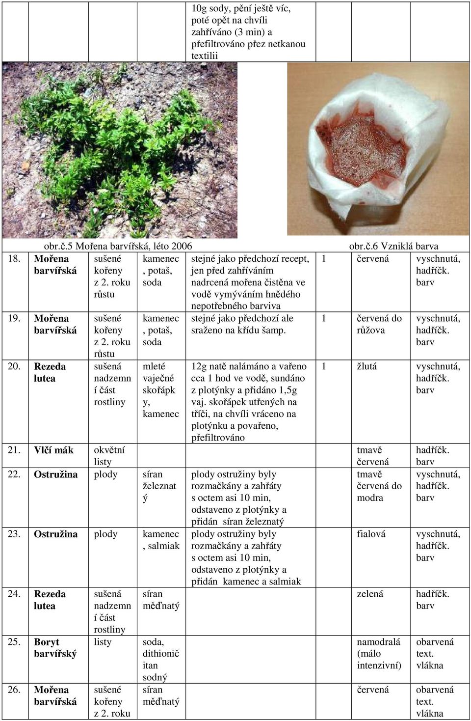 Ostružina plody, salmiak 24. Rezeda lutea 25. Boryt ířský 26. Mořena ířská sušená nadzemn í část rostliny sušené kořeny z 2.