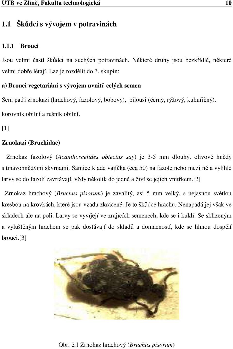 [1] Zrnokazi (Bruchidae) Zrnokaz fazolový (Acanthoscelides obtectus say) je 3-5 mm dlouhý, olivově hnědý s tmavohnědými skvrnami.