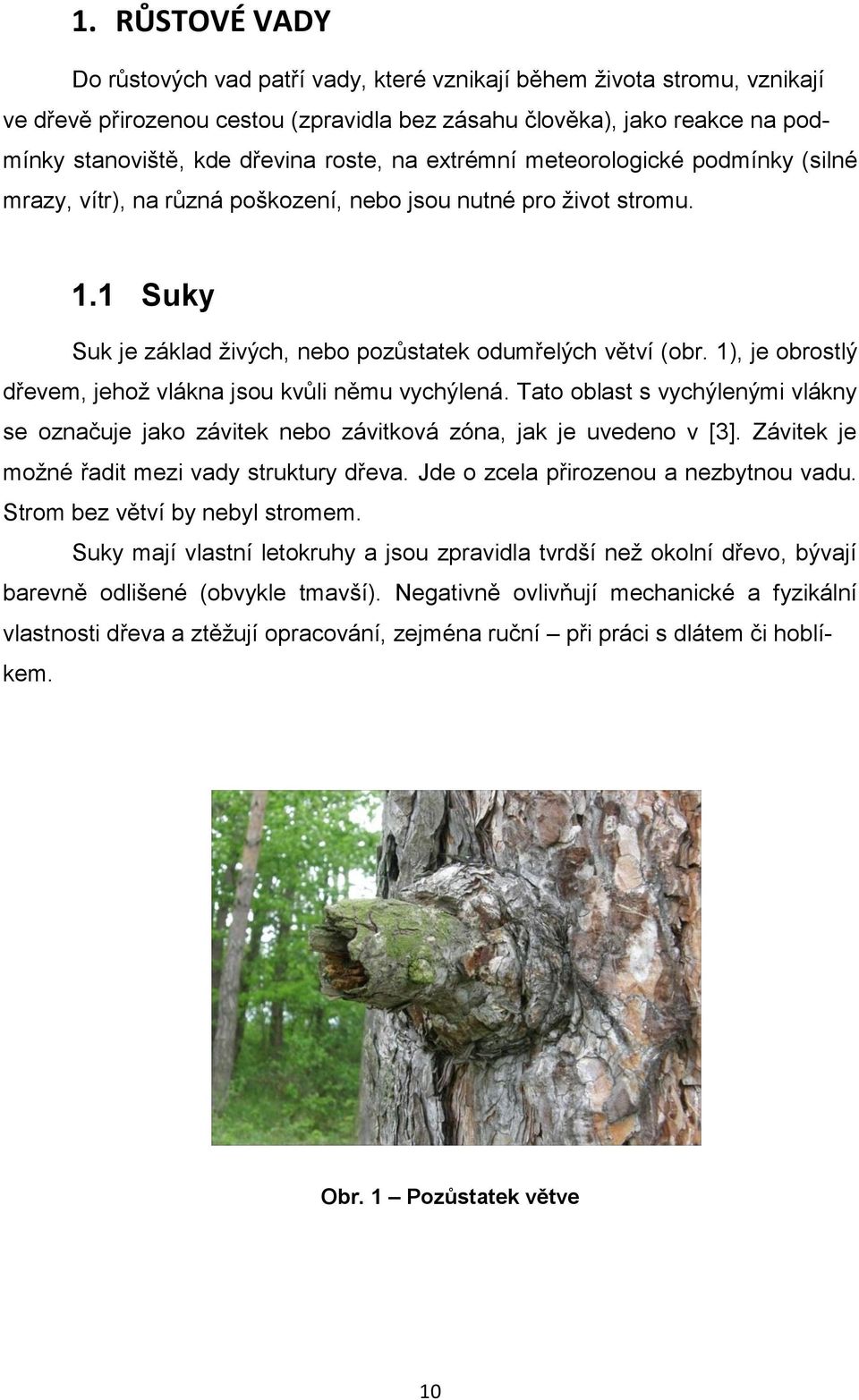 1), je obrostlý dřevem, jehož vlákna jsou kvůli němu vychýlená. Tato oblast s vychýlenými vlákny se označuje jako závitek nebo závitková zóna, jak je uvedeno v [3].