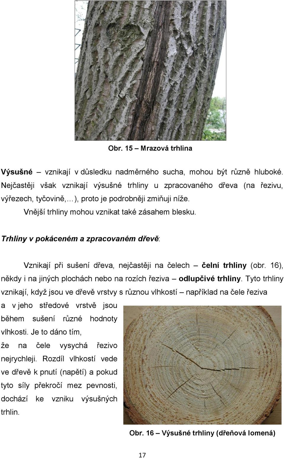 Trhliny v pokáceném a zpracovaném dřevě: Vznikají při sušení dřeva, nejčastěji na čelech čelní trhliny (obr. 16), někdy i na jiných plochách nebo na rozích řeziva odlupčivé trhliny.