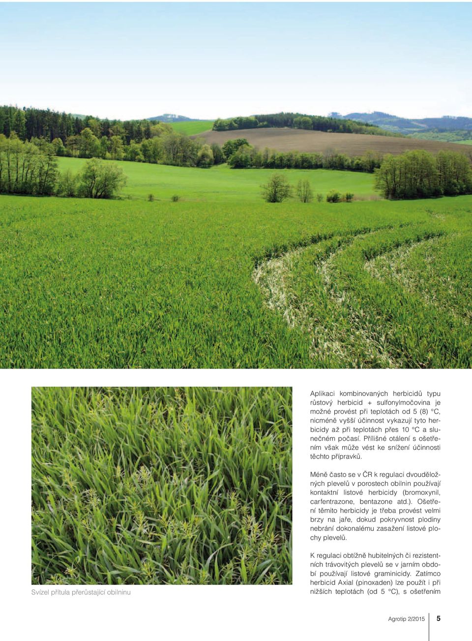 Méně často se v ČR k regulaci dvouděložných plevelů v porostech obilnin používají kontaktní listové herbicidy (bromoxynil, carfentrazone, bentazone atd.).