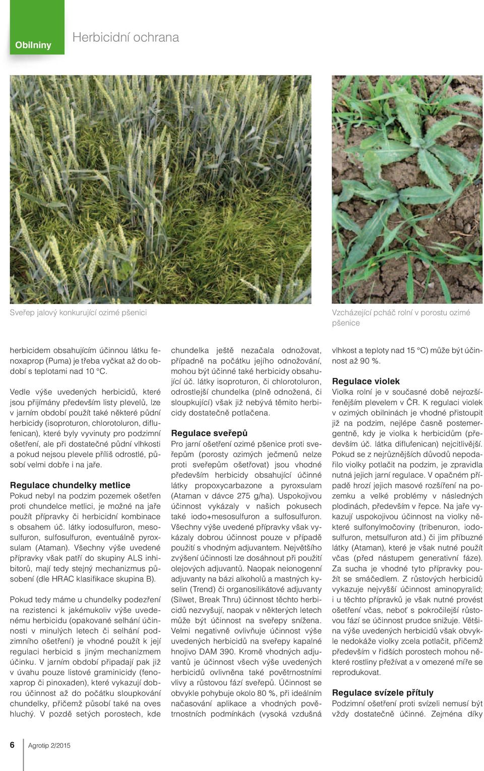 Vedle výše uvedených herbicidů, které jsou přijímány především listy plevelů, lze v jarním období použít také některé půdní herbicidy (isoproturon, chlorotoluron, diflufenican), které byly vyvinuty