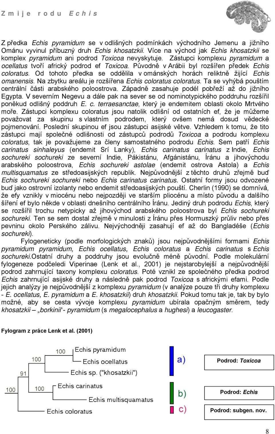 Původně v Arábii byl rozšířen předek Echis coloratus. Od tohoto předka se oddělila v ománských horách reliktně žijící Echis omanensis. Na zbytku areálu je rozšířena Echis coloratus coloratus.