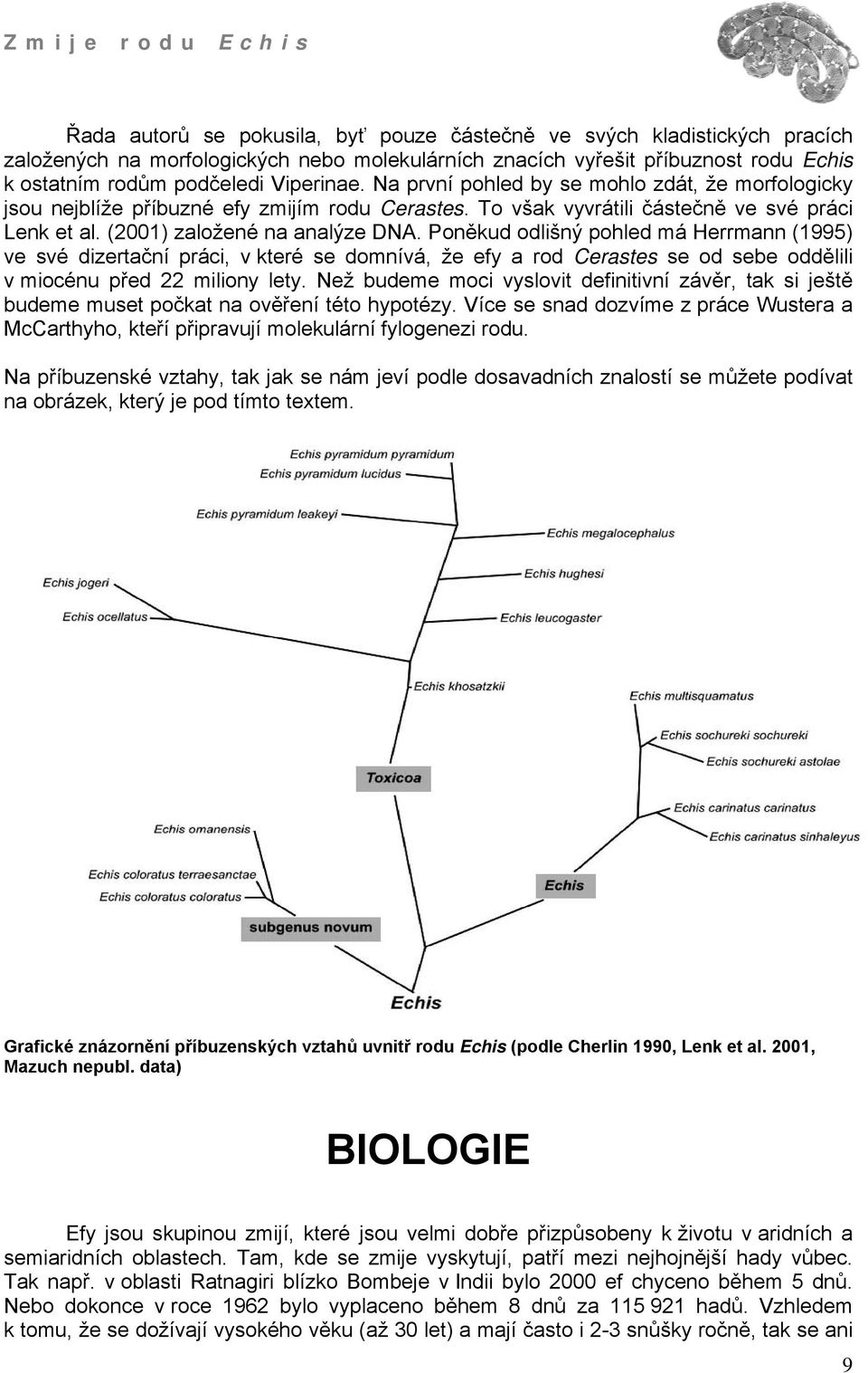 Poněkud odlišný pohled má Herrmann (1995) ve své dizertační práci, v které se domnívá, že efy a rod Cerastes se od sebe oddělili v miocénu před 22 miliony lety.