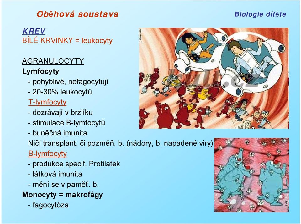 imunita Ničí transplant. či pozměň. b. (nádory, b.