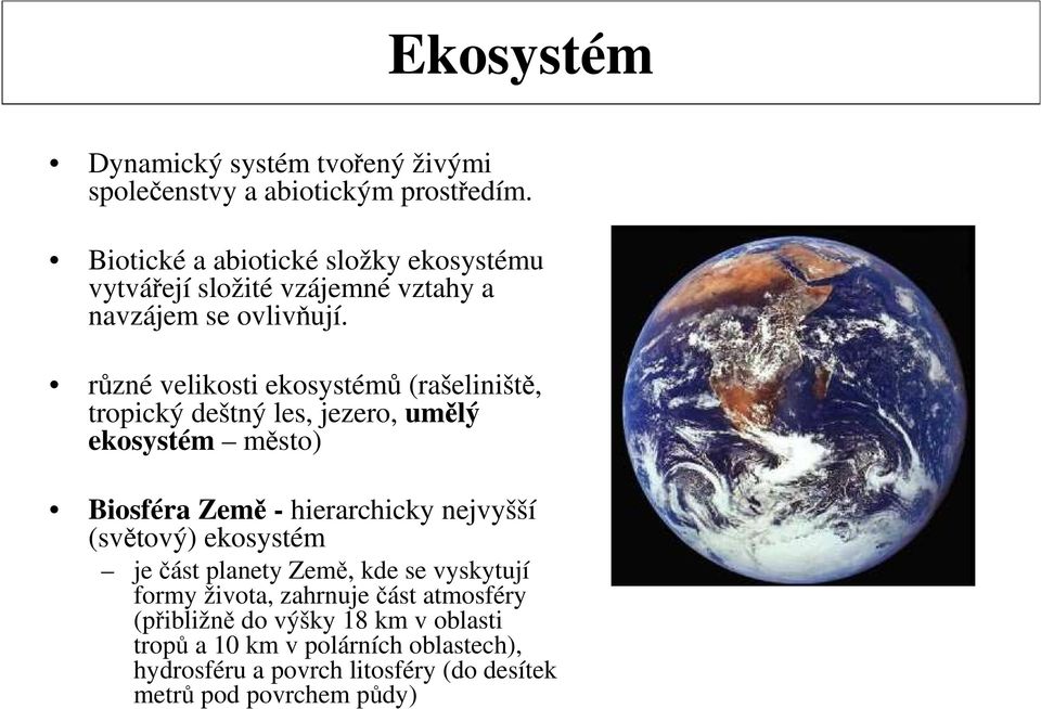 různé velikosti ekosystémů (rašeliniště, tropický deštný les, jezero, umělý ekosystém město) Biosféra Země - hierarchicky nejvyšší