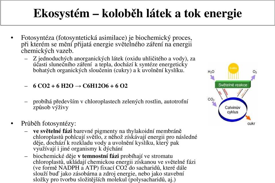 6 CO2 + 6 H2O C6H12O6 + 6 O2 probíhá především v chloroplastech zelených rostlin, autotrofní způsob výživy Průběh fotosyntézy: ve světelné fázi barevné pigmenty na thylakoidní membráně chloroplastů