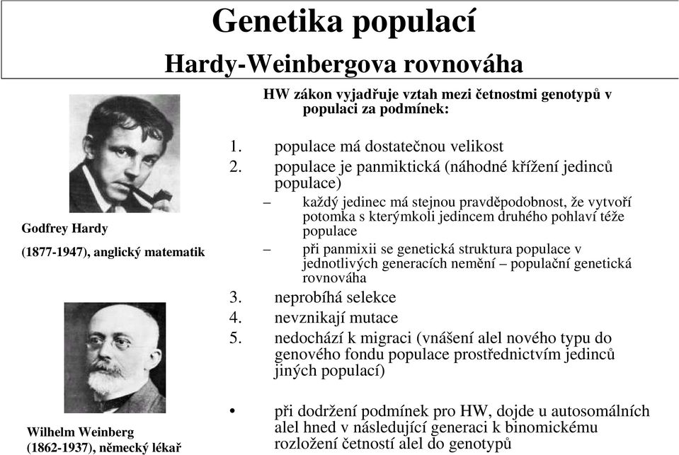 populace je panmiktická (náhodné křížení jedinců populace) každý jedinec má stejnou pravděpodobnost, že vytvoří potomka s kterýmkoli jedincem druhého pohlaví téže populace při panmixii se genetická