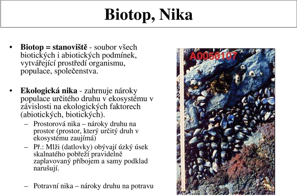 Ekologická nika - zahrnuje nároky populace určitého druhu v ekosystému v závislosti na ekologických faktorech (abiotických,