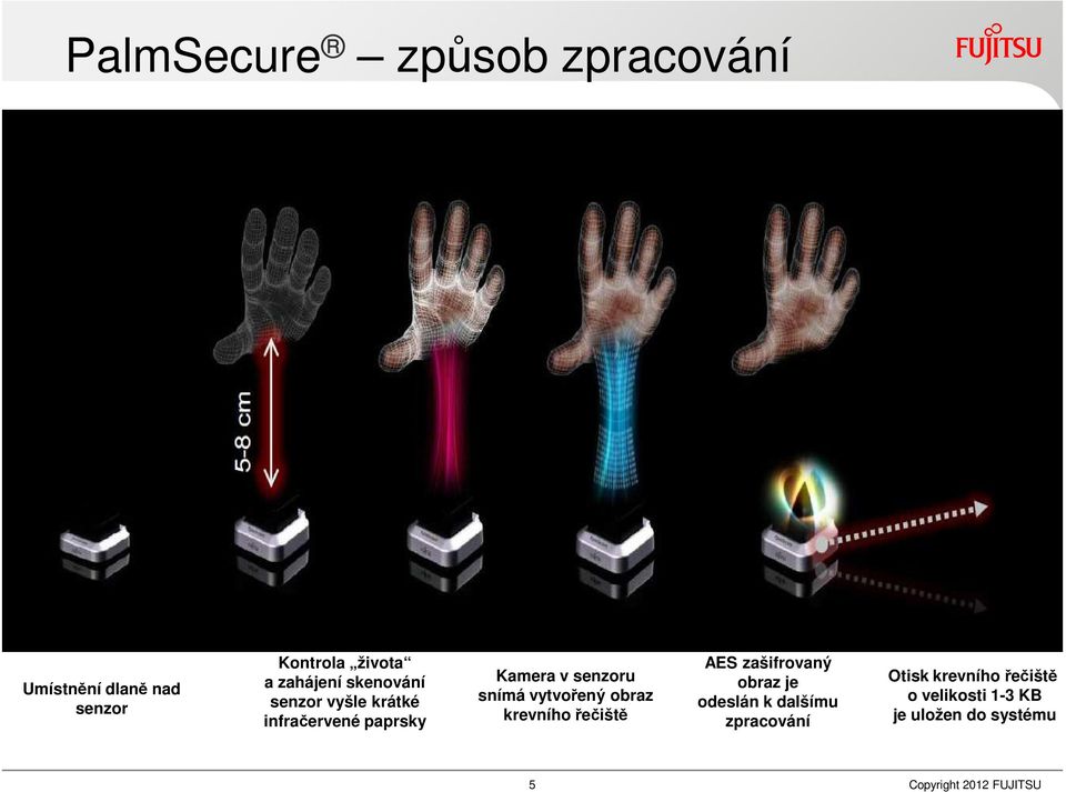 vytvořený obraz krevního řečiště AES zašifrovaný obraz je odeslán k dalšímu