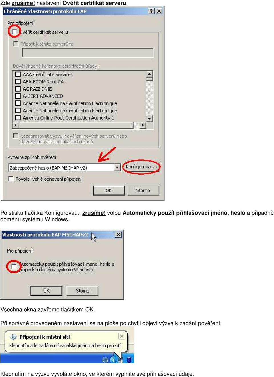 volbu Automaticky použít přihlašovací jméno, heslo a připadně doménu systému Windows.
