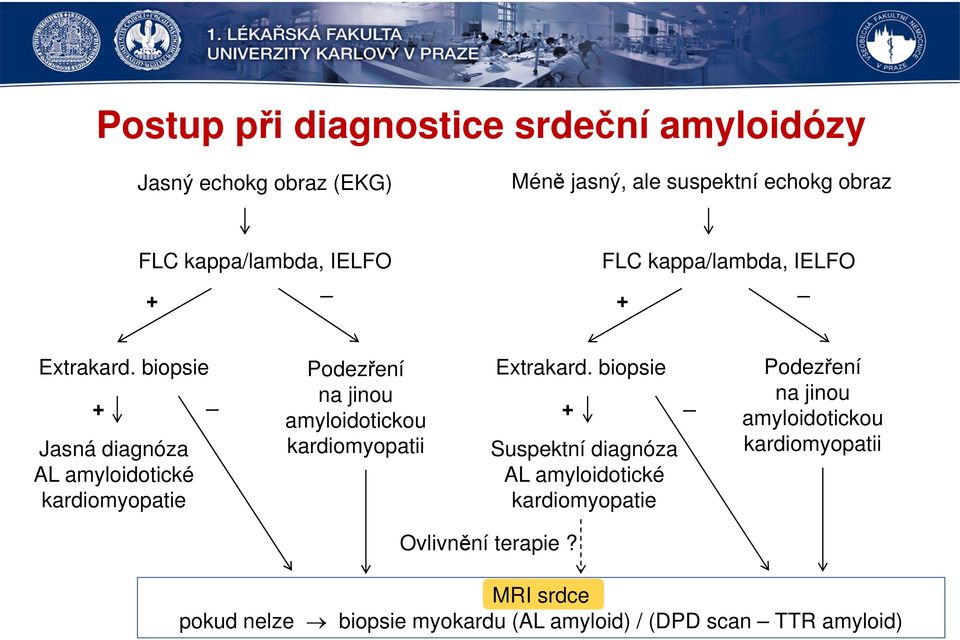 biopsie Podezření + _ na jinou na jinou + _ amyloidotickou amyloidotickou Jasná diagnóza AL amyloidotické kardiomyopatie