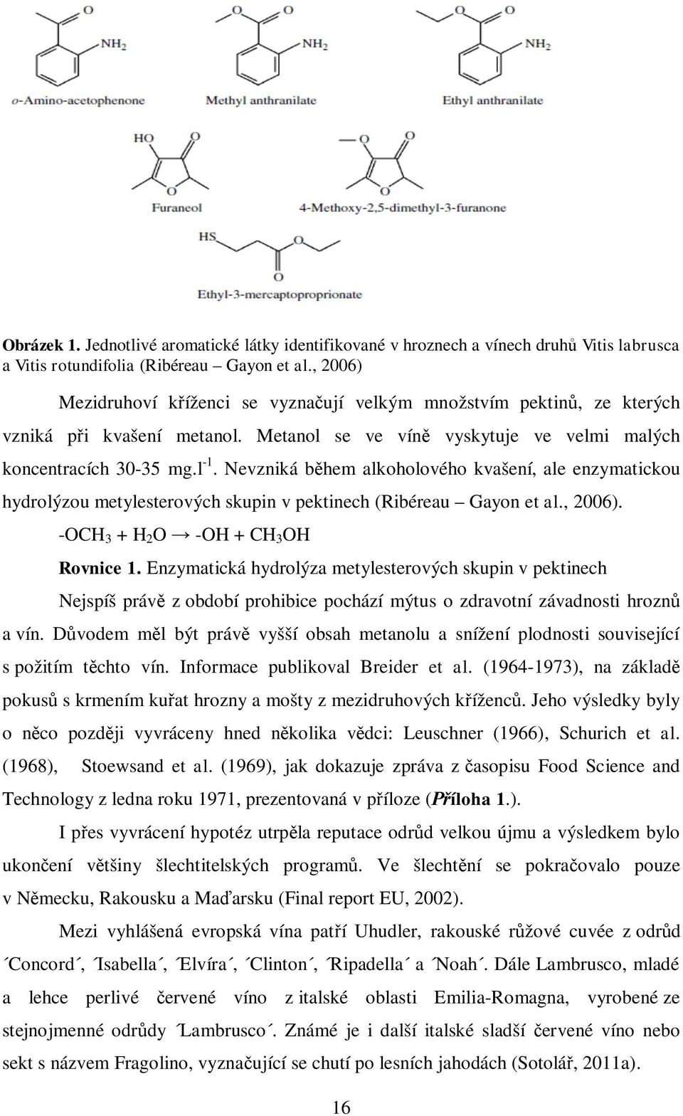 Nevzniká b hem alkoholového kvašení, ale enzymatickou hydrolýzou metylesterových skupin v pektinech (Ribéreau Gayon et al., 2006). -OCH 3 + H 2 O -OH + CH 3 OH Rovnice 1.