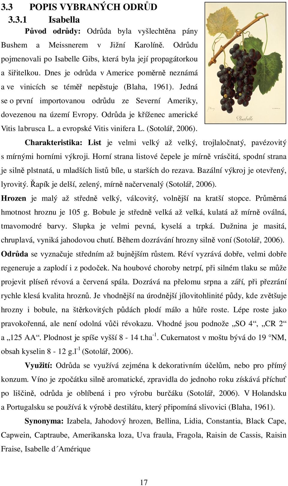 Odr da je k íženec americké Vitis labrusca L. a evropské Vitis vinifera L. (Sotolá, 2006). Charakteristika: List je velmi velký až velký, trojlalo natý, pavézovitý s mírnými horními výkroji.