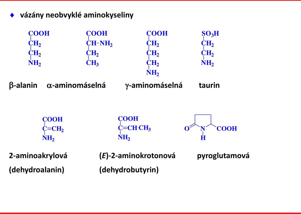-aminomáselná taurin COOH COOH C CH 2 C CH CH 3 NH 2 NH 2 O N H COOH