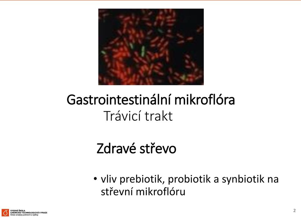 vliv prebiotik, probiotik a