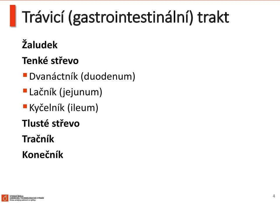 (duodenum) Lačník (jejunum)