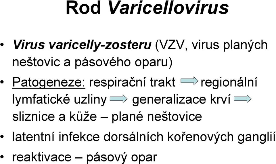 lymfatické uzliny generalizace krví sliznice a kůže plané