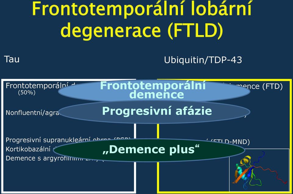 Frontotemporální demence (FTD) Sémantická demence (SD) Progresivní supranukleární obrna (PSP)