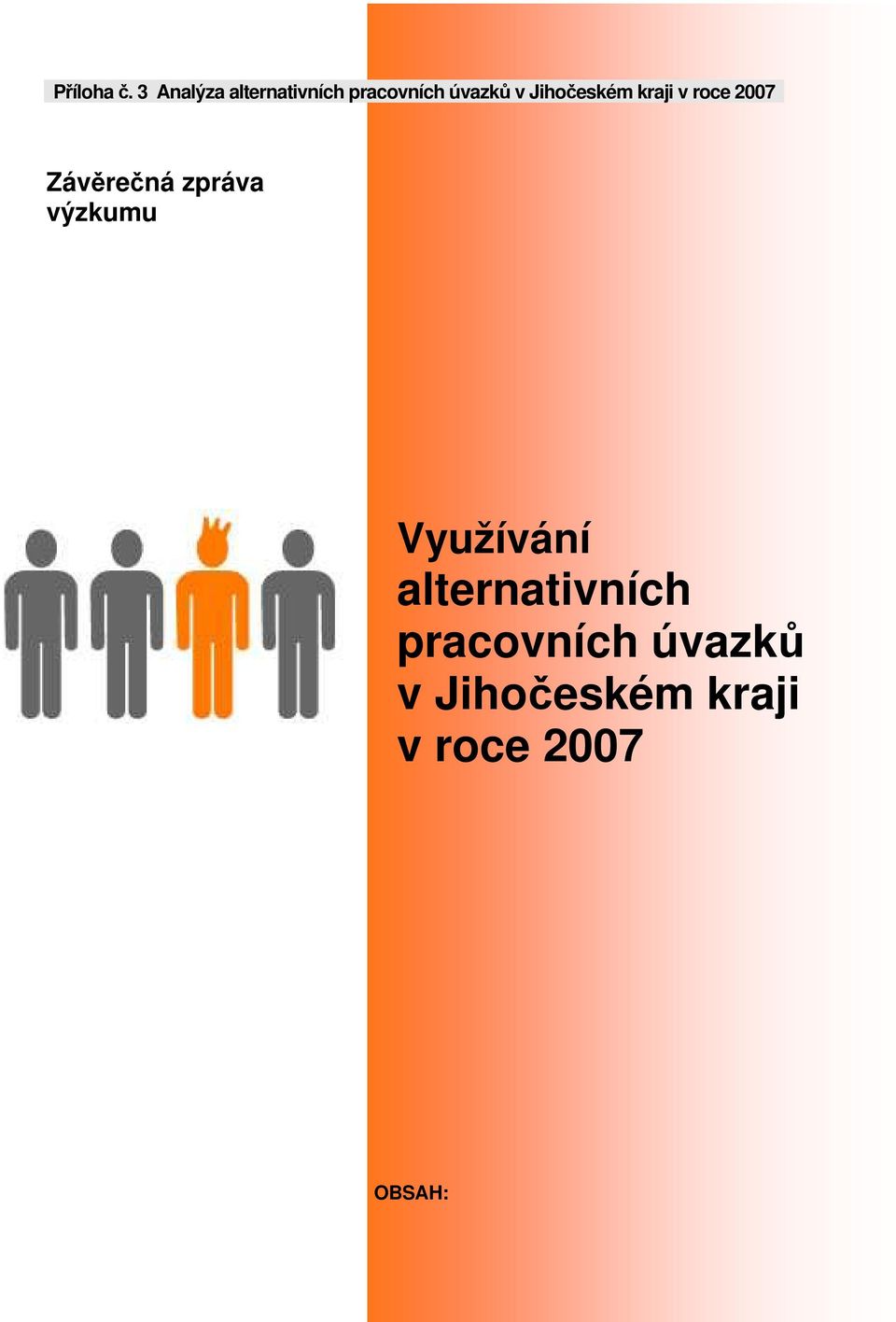 Jihočeském kraji v roce 2007 Závěrečná zpráva