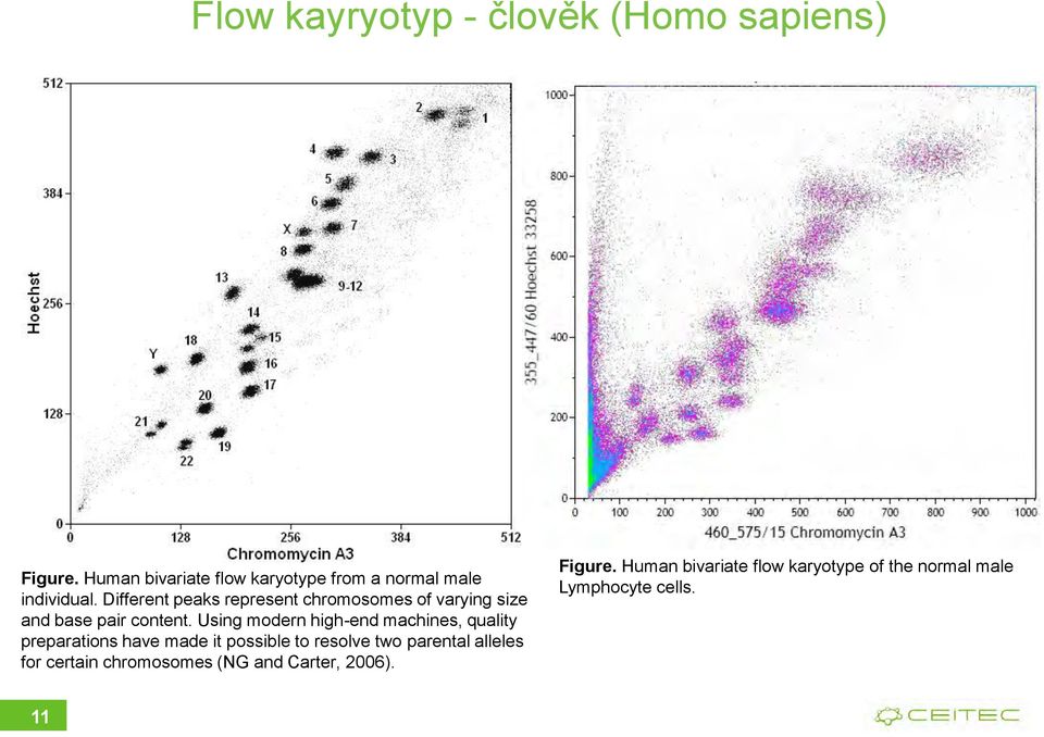 Different peaks represent chromosomes of varying size and base pair content.