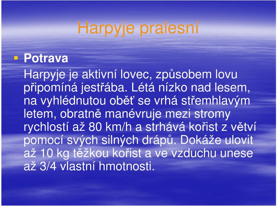 manévruje mezi stromy rychlostí až 80 km/h a strhává kořist z větví pomocí svých