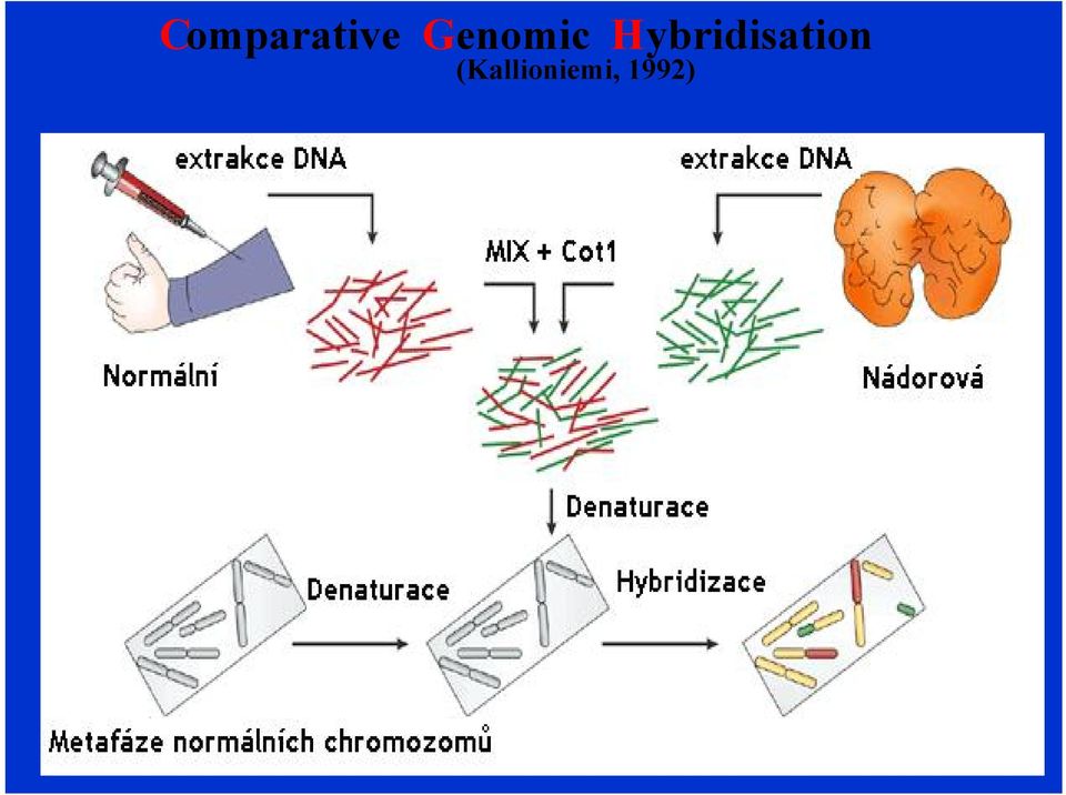 Hybridisation