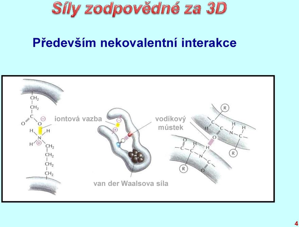 interakce iontová