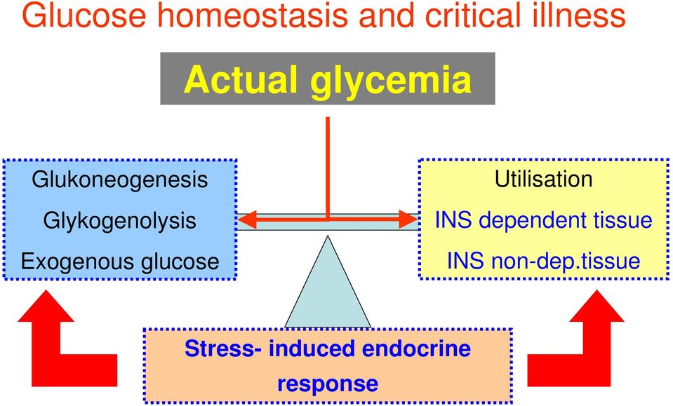 Exogenous glucose Utilisation INS dependent