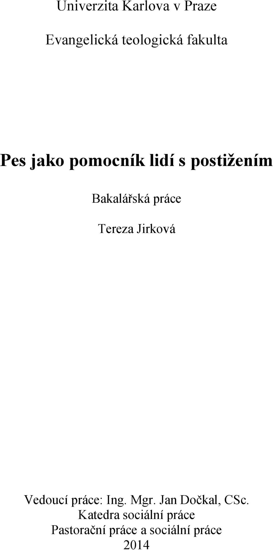Tereza Jirková Vedoucí práce: Ing. Mgr. Jan Dočkal, CSc.