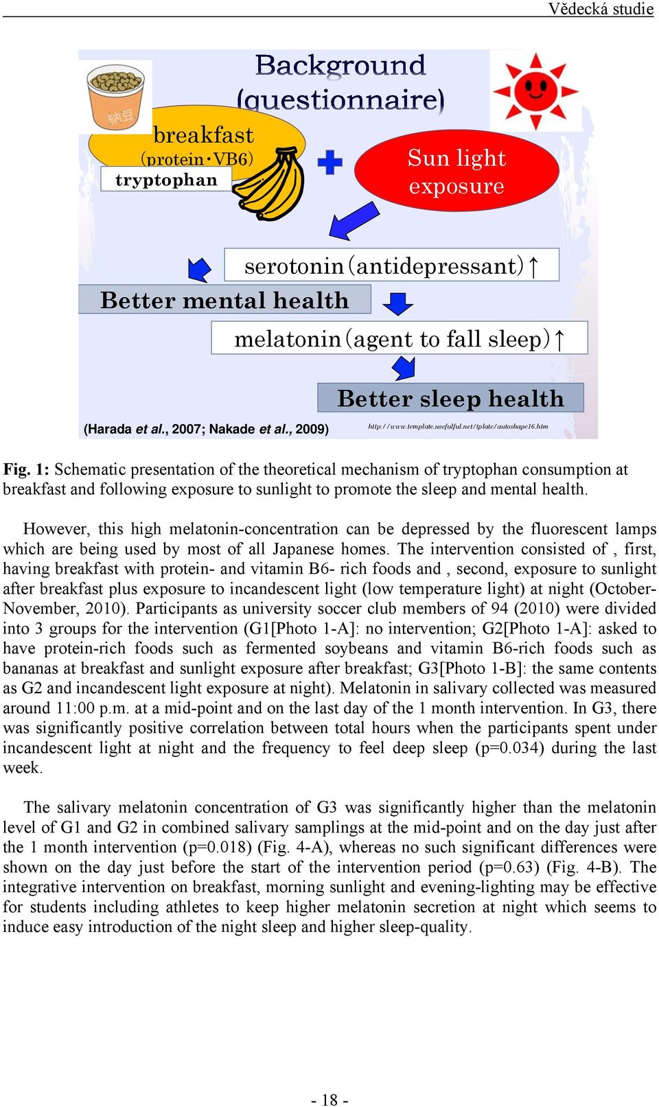 1: Schematic presentation of the theoretical mechanism of tryptophan consumption at breakfast and following exposure to sunlight to promote the sleep and mental health.