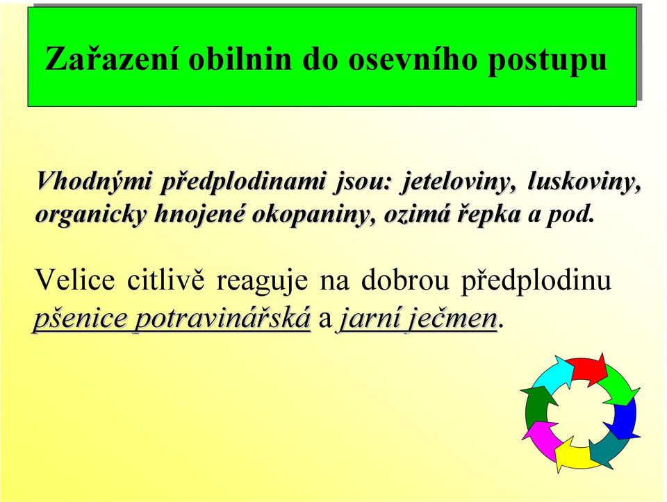 hnojené okopaniny, ozimá řepka a pod.