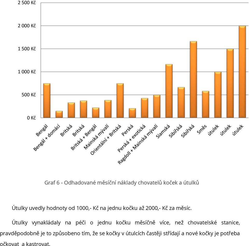 Útulky vynakládaly na péči o jednu kočku měsíčně více, než chovatelské stanice, pravděpodobně