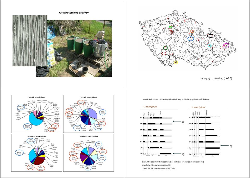 14% Prunus 2.43% Quercus 5.92% Fraxinus 1.40% Frangula 0.03% Fagus 17.50% pravěk mezofytikum Salix 2.49% Corylus 7.81% Taxus 0.30% Tilia 3.70% Ulmus 0.51% Carpinus 6.35% Betula 12.24% Abies 29.