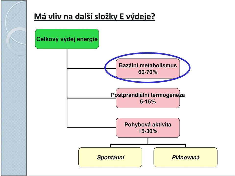 metabolismus 60-70% Postprandiální