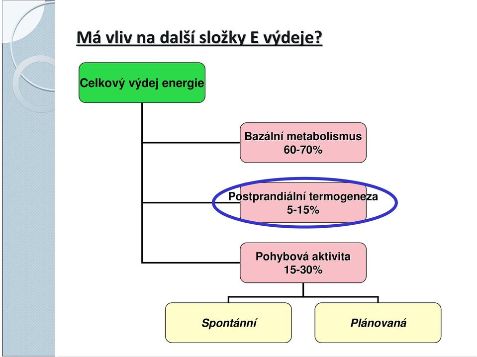 metabolismus 60-70% Postprandiální