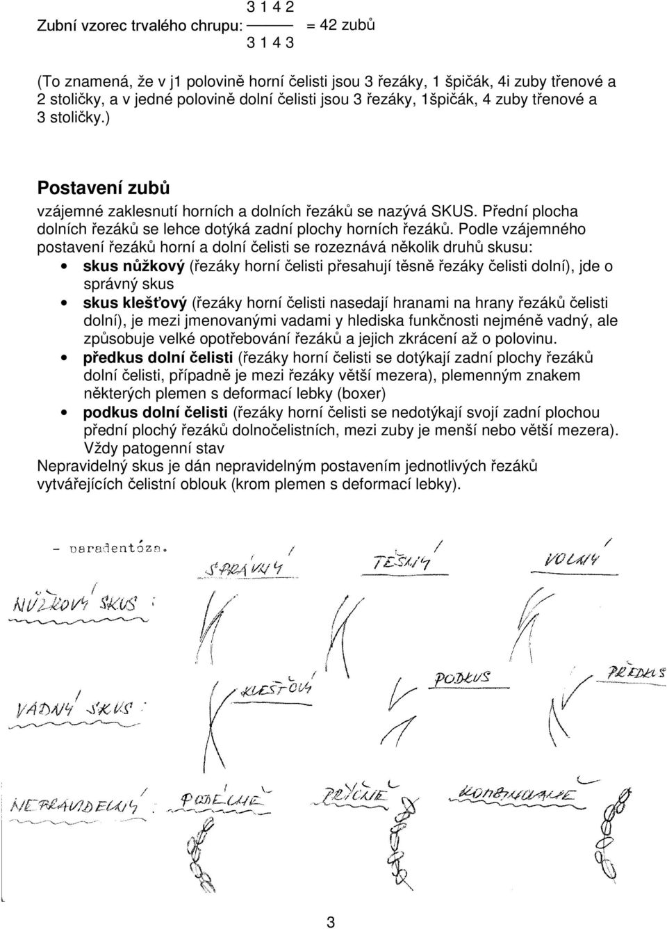 Podle vzájemného postavení řezáků horní a dolní čelisti se rozeznává několik druhů skusu: skus nůžkový (řezáky horní čelisti přesahují těsně řezáky čelisti dolní), jde o správný skus skus klešťový