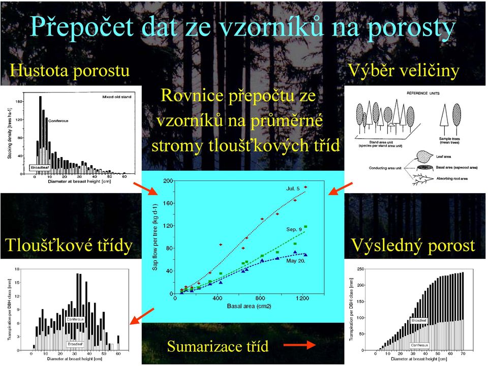 průměrné stromy tloušťkových tříd Výběr