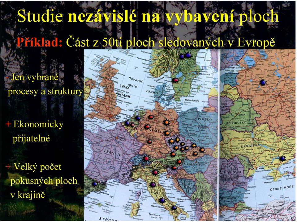 vybrané procesy a struktury + Ekonomicky