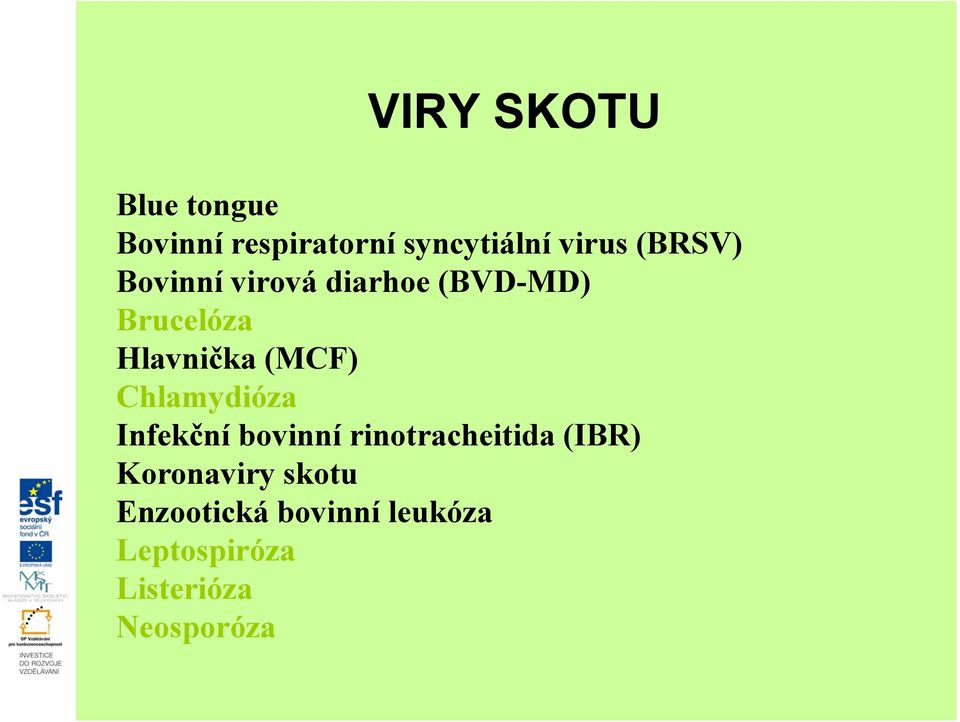 (MCF) Chlamydióza Infekční bovinní rinotracheitida (IBR)