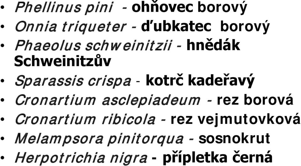 kadeřavý Cronartium asclepiadeum - rez borová Cronartium ribicola - rez