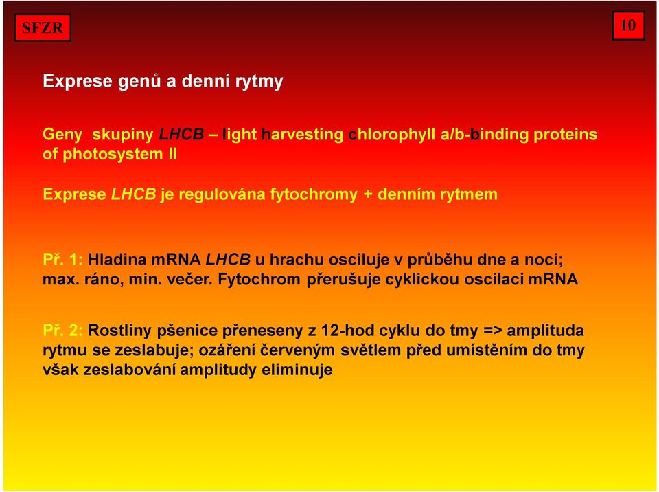 1: Hladina mrna LHCB u hrachu osciluje v průběhu dne a noci; max. ráno, min. večer.