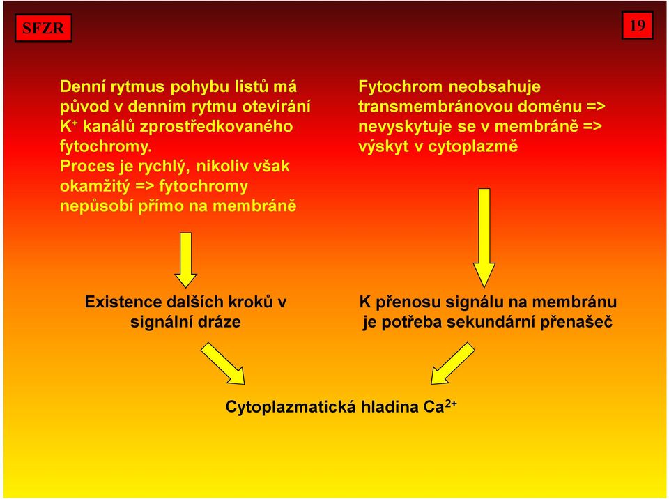 transmembránovou doménu => nevyskytuje se v membráně => výskyt v cytoplazmě Existence dalších kroků v