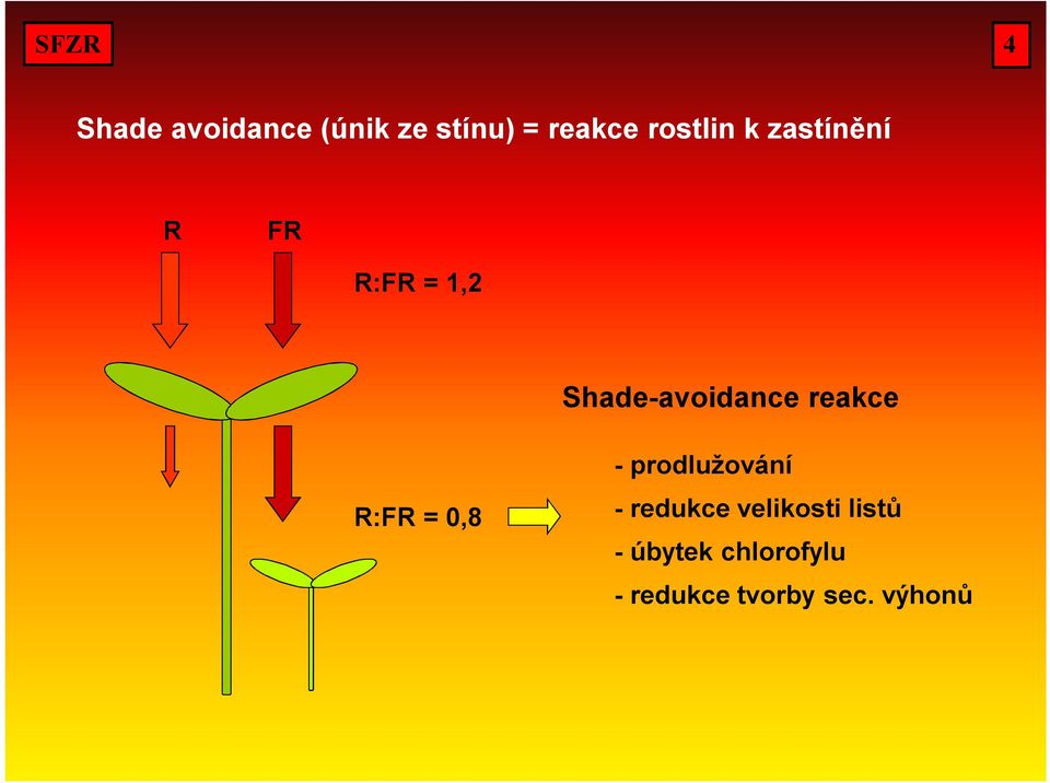 R:FR = 0,8 - prodlužování - redukce velikosti